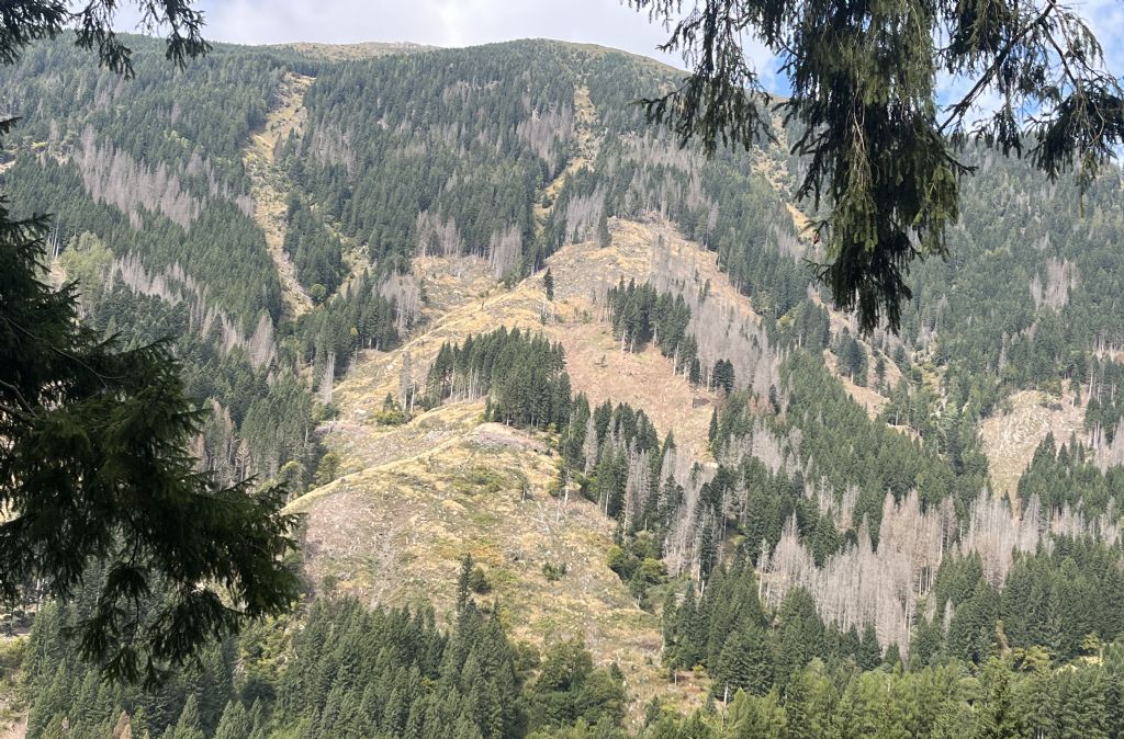 Tutte le sculture di Marco Martalar.....in Trentino